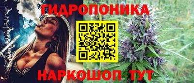 эйфоретик Заводоуковск