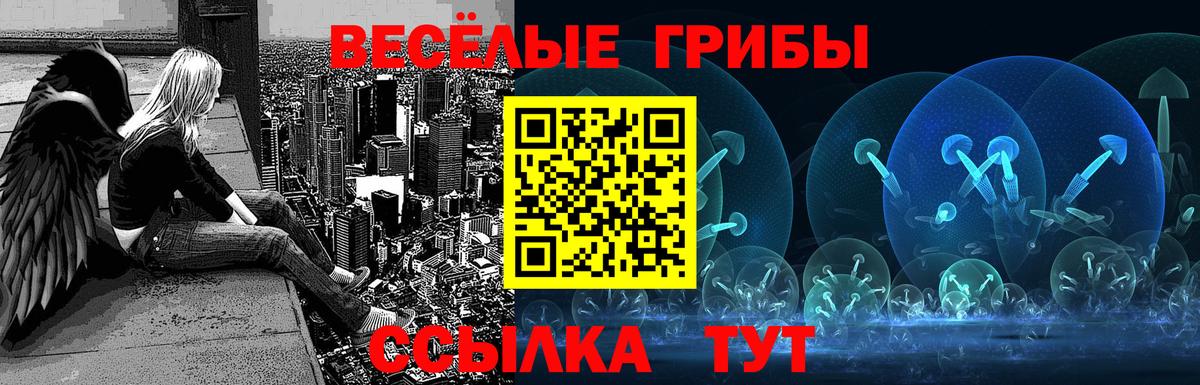 Можайск  Галлюциногенные грибы мухоморы  купить  цена  Вход с VPN 