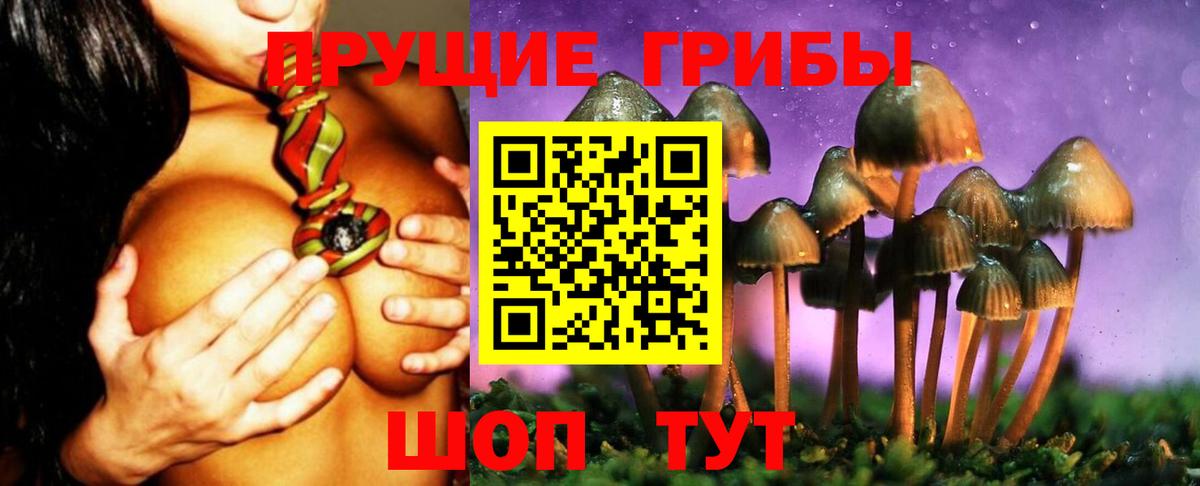 Псилоцибиновые грибы мухоморы Можайск